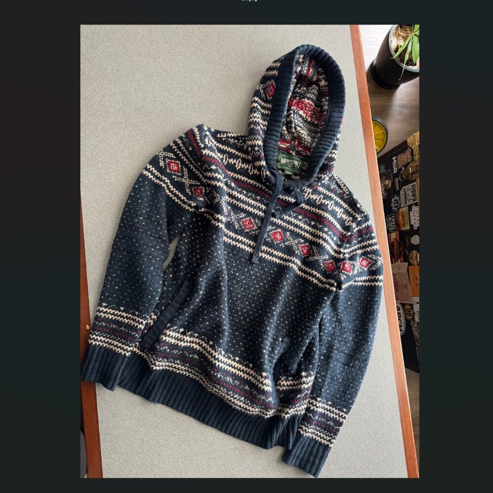 American Eagle wool blend hoodie